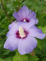 20200828_120713.webp