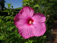 DSC01239.webp