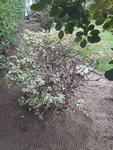 20200820_190846.jpg
