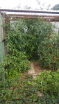 20200829_135410.jpg