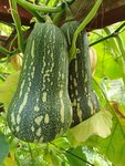 20200829_160733.jpg