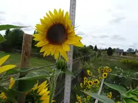 k-DSC03322.webp