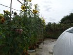 k-DSC03325.JPG