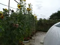 k-DSC03325.webp