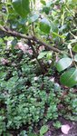 20200829_115026.jpg