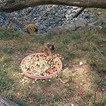 DSC_0828.JPG