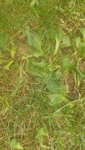 20200830_112133_resized.jpg