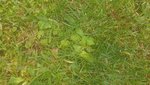20200830_112158_resized.jpg