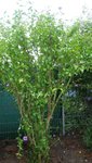 20200825_143119.jpg