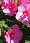 IMG_20200830_205702.jpg