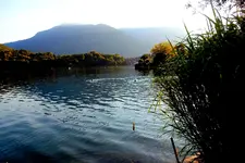 DSCN2026.webp