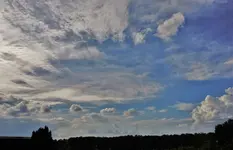 2020hmml26.webp