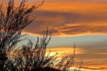 IMG_6427 - Copy.JPG