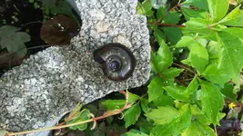 20200830_123239.webp