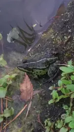 20200830_122920.webp