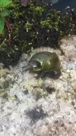 20200830_122557.webp