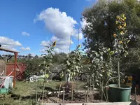 2020-09-01 11.33.39.webp