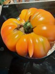 20200831_140031.jpg
