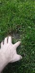 IMG_20200901_194705.jpg