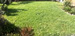 IMG_20200818_105904.jpg