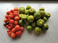 IMG_20200901_180756.jpg