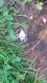 20200902_104341.jpg