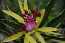 comp_DSC09354.webp