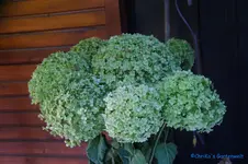 comp_DSC09358.webp