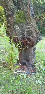 IMG-20200902-WA0031.webp