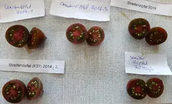 20200902_213207.webp