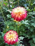 20200831_165524.jpg