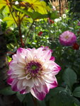 20200831_165432.jpg