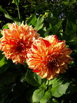 20200831_165422.jpg
