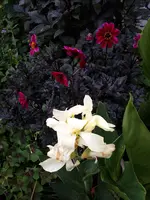 20200902_191737.jpg