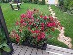 20200831_190311.jpg
