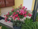 20200831_190326.jpg