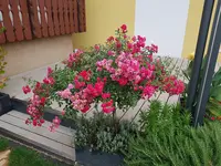20200831_190326.webp