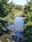 20200902_121848.jpg