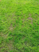 IMG_20200904_091244.webp