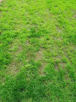 IMG_20200904_091253.webp