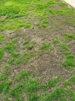 IMG_20200904_091317.webp