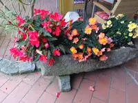 DSC01245.webp