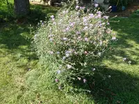 DSC01247.webp