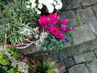 DSC01251.webp