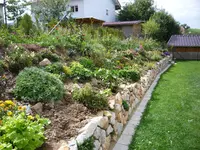 Hang Südseite_05.09.2020.webp
