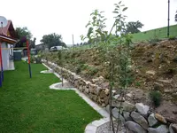 Obstbäume_05.09.2020.webp