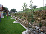 Obstbäume_05.09.2020.JPG