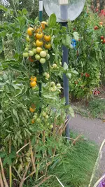20200905_172017.webp