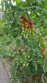 20200905_172023.webp