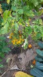 20200905_172037.jpg
